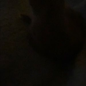 Meet your Posher, Jaiden